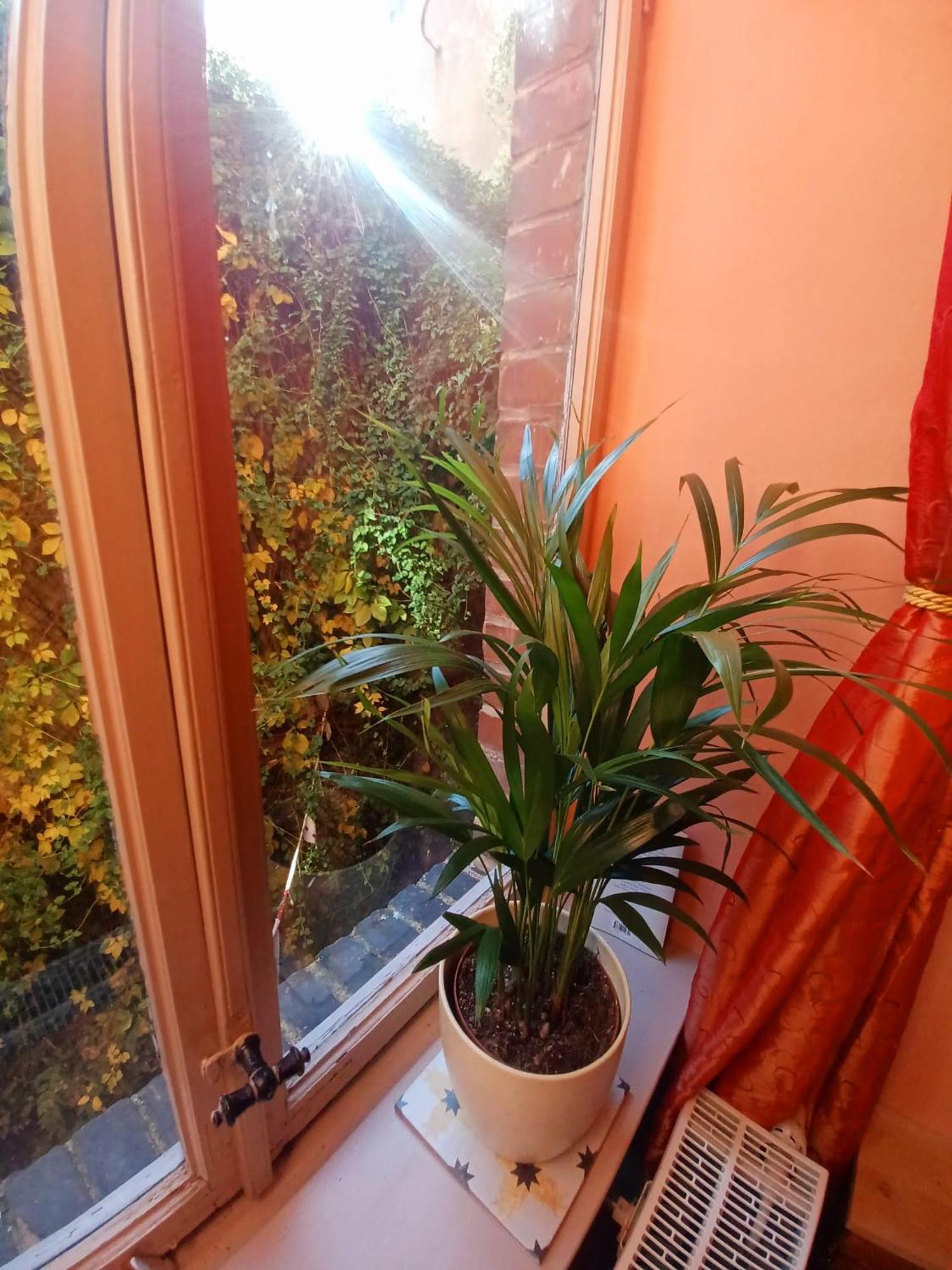 Ferienwohnung Antik Gotha Exterior foto
